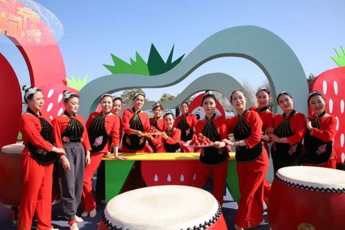 《走进昌平》 央视新栏目聚焦广播电视节目制作经营